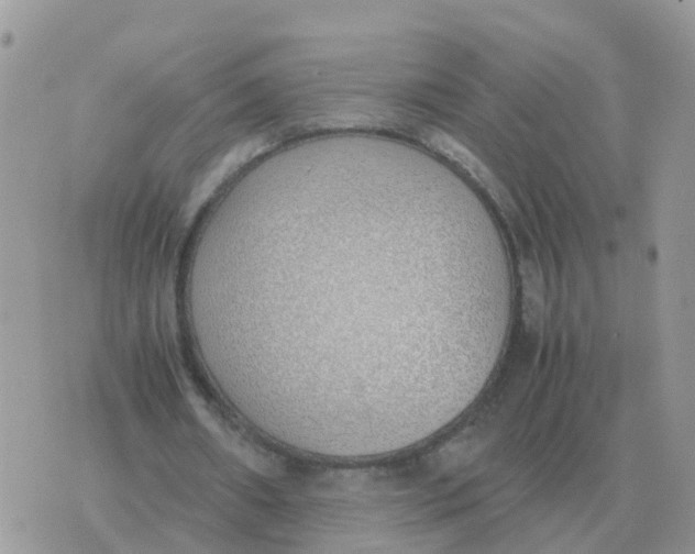 X0000070430482200606302130