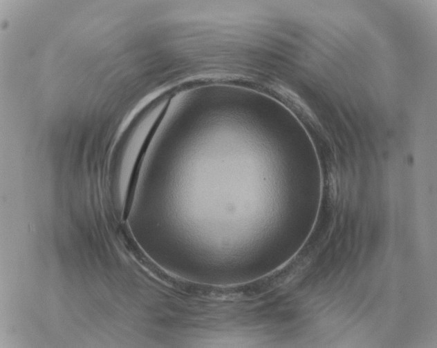 X0000070430484200606302130