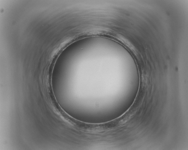 X0000070430485200606302130