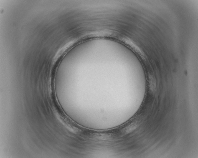 X0000070430486200606302130