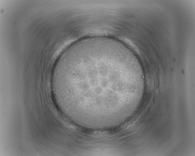 X0000070430487200606302130