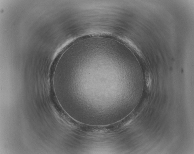 X0000070430488200606302130