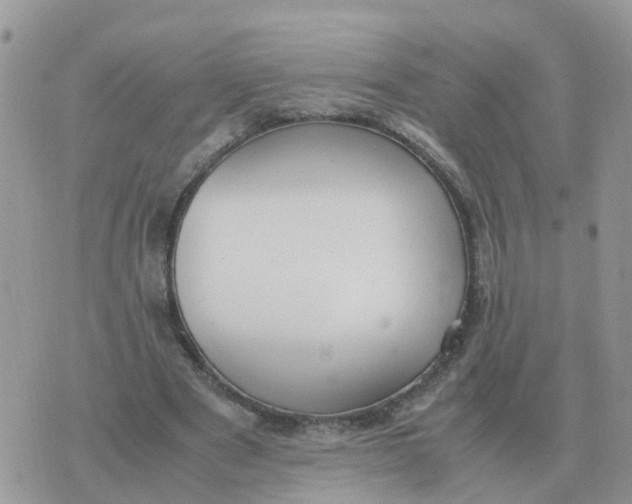 X0000070430489200606302130