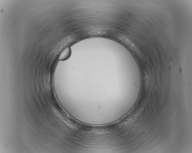 X0000070430490200606302130