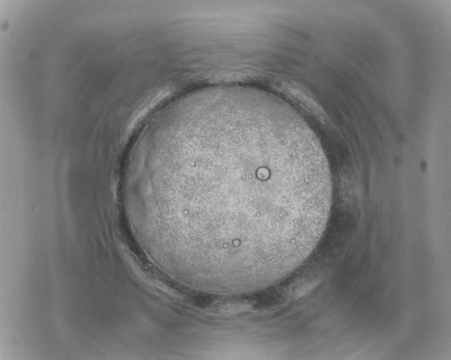 X0000070430491200606302130