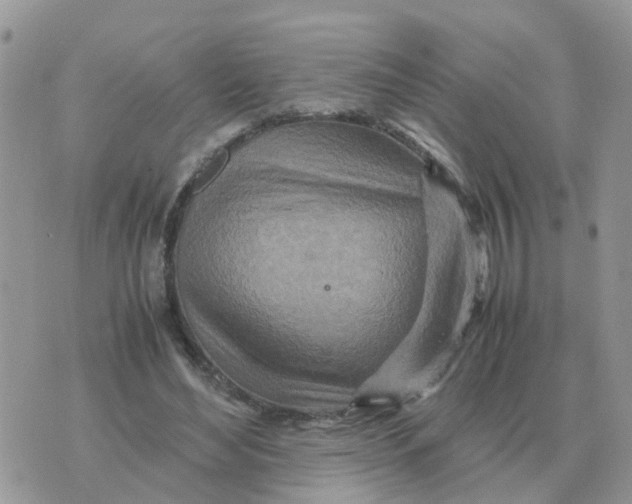 X0000070430492200606302130