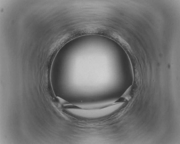 X0000070430493200606302130