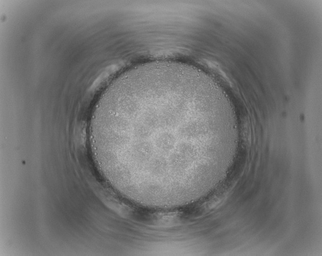 X0000070430495200606302130