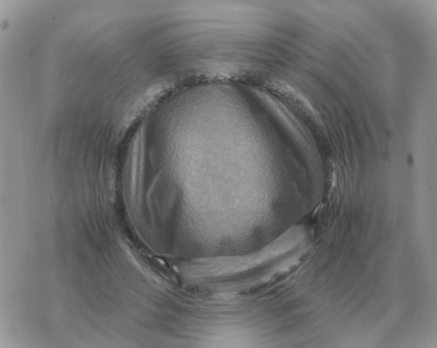 X0000070430496200606302130