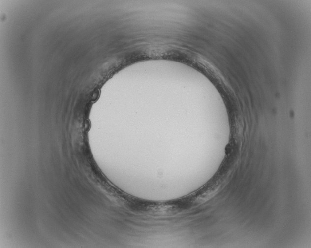 X0000070430497200606302130