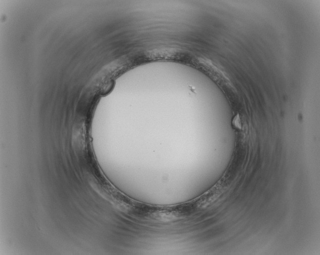 X0000070430498200606302130