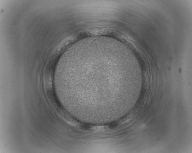 X0000070430499200606302130