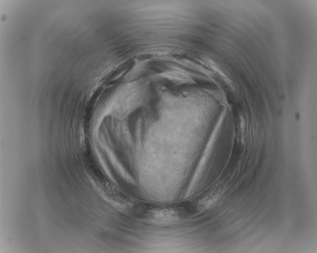 X0000070430500200606302130