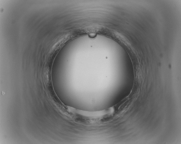 X0000070430501200606302130