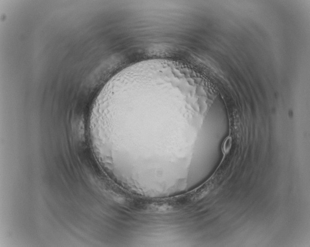 X0000070430502200606302130