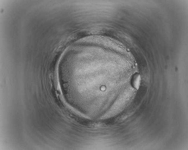 X0000070430503200606302130