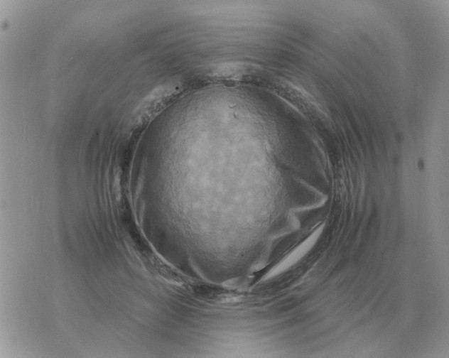 X0000070430504200606302130