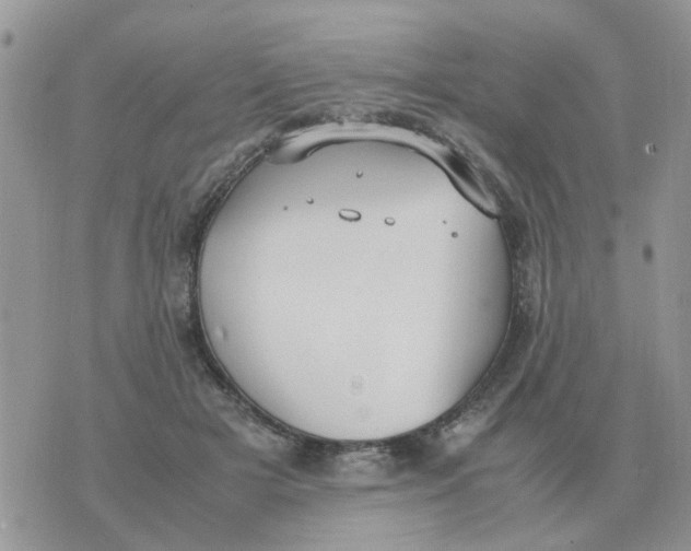 X0000070430505200606302130