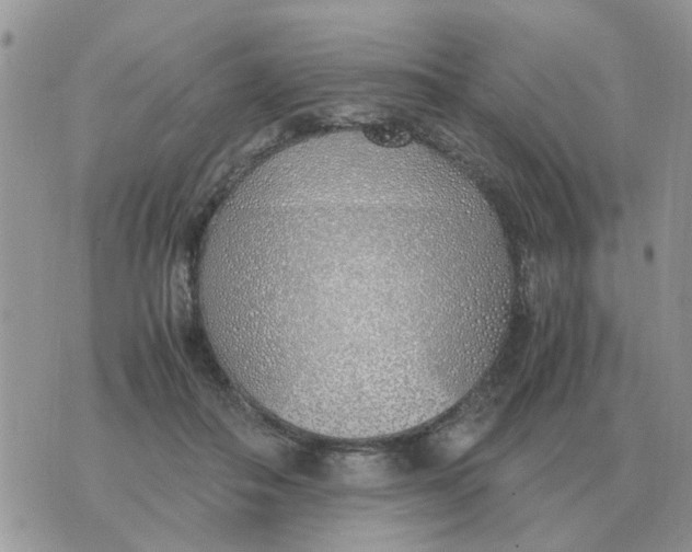 X0000070430506200606302130