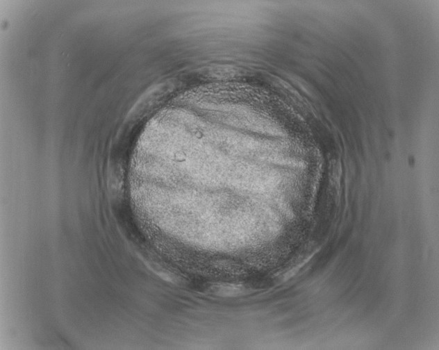 X0000070430507200606302130