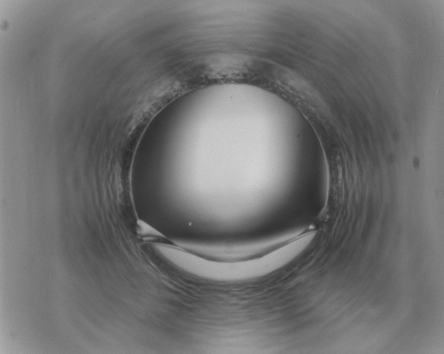 X0000070430508200606302130