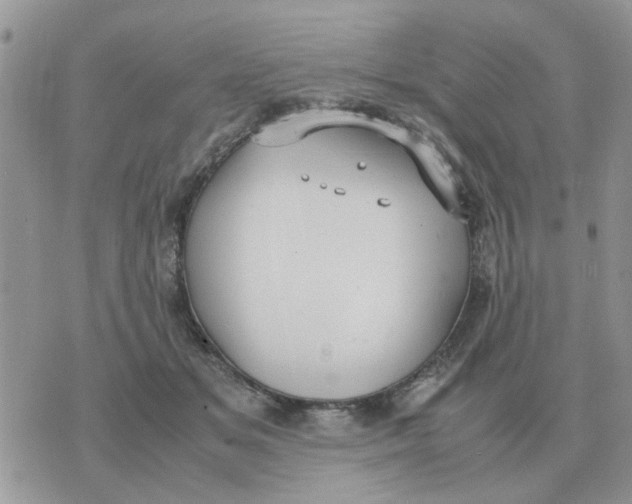 X0000070430509200606302129