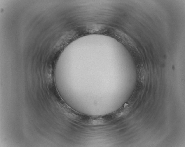 X0000070430510200606302129