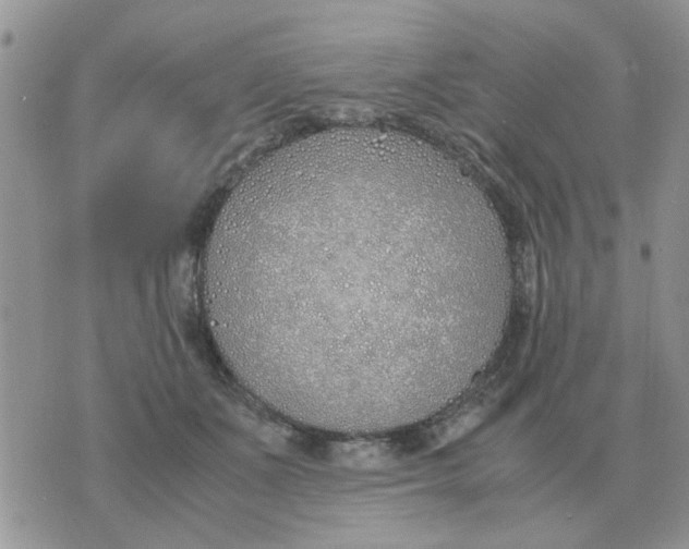 X0000070430511200606302129