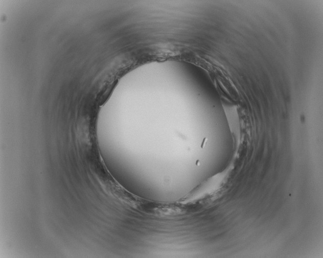 X0000070430512200606302129