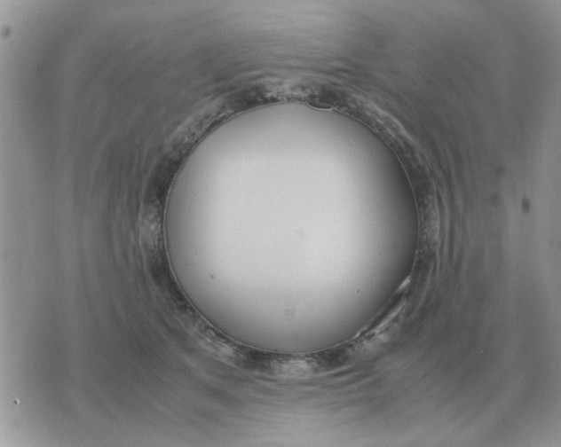 X0000070430513200606302129