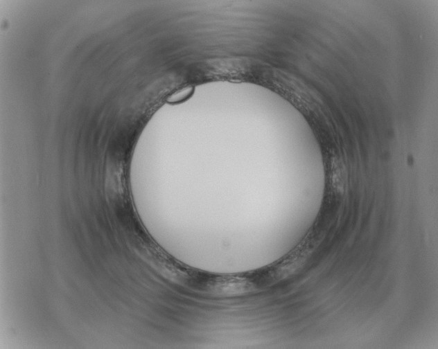 X0000070430514200606302129