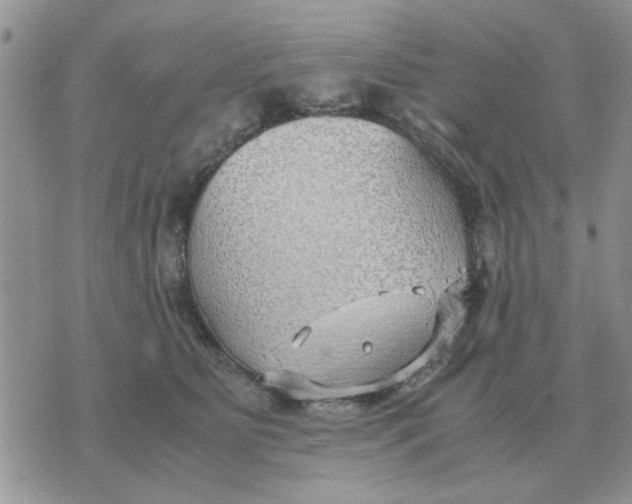 X0000070430515200606302129