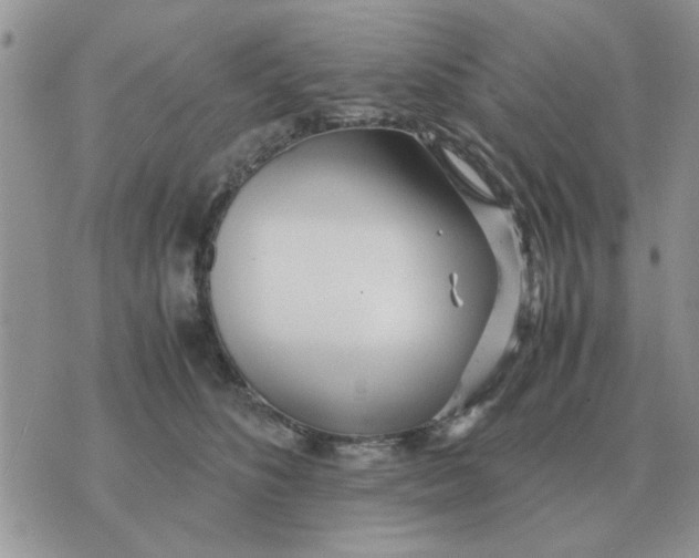 X0000070430516200606302129