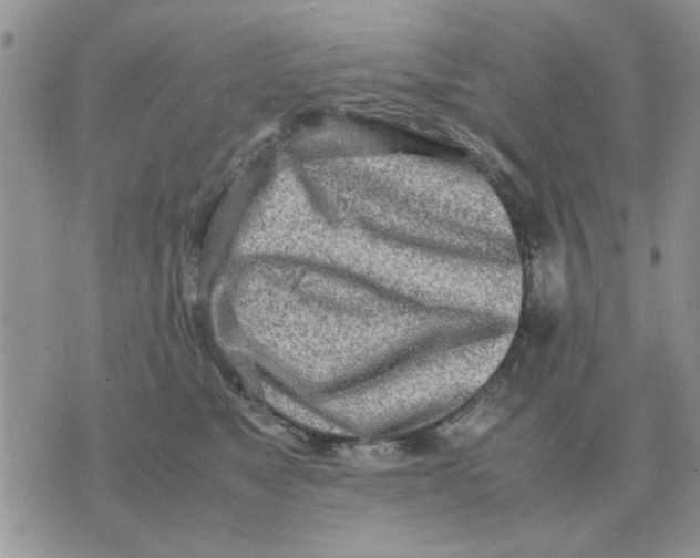 X0000070430517200606302129