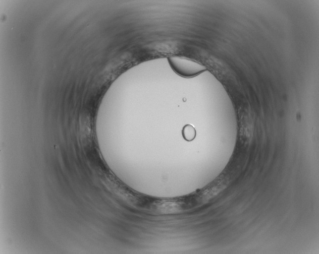 X0000070430518200606302129