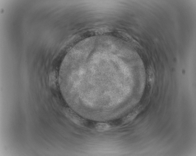 X0000070430519200606302129