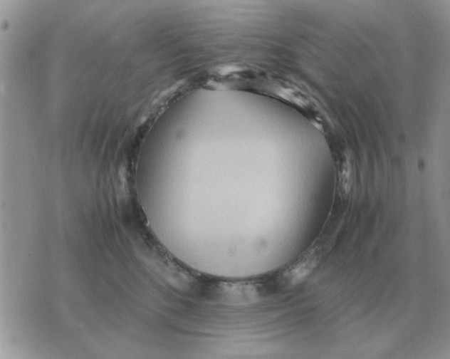 X0000070430520200606302129