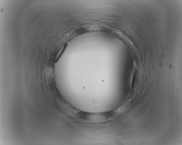 X0000070430521200606302129