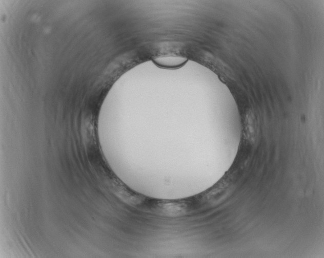 X0000070430522200606302129