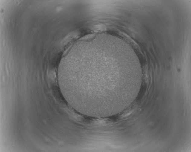 X0000070430523200606302129