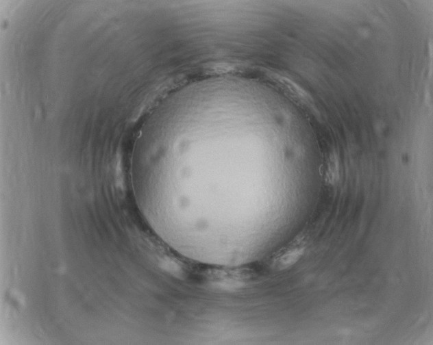 X0000070430524200606302129