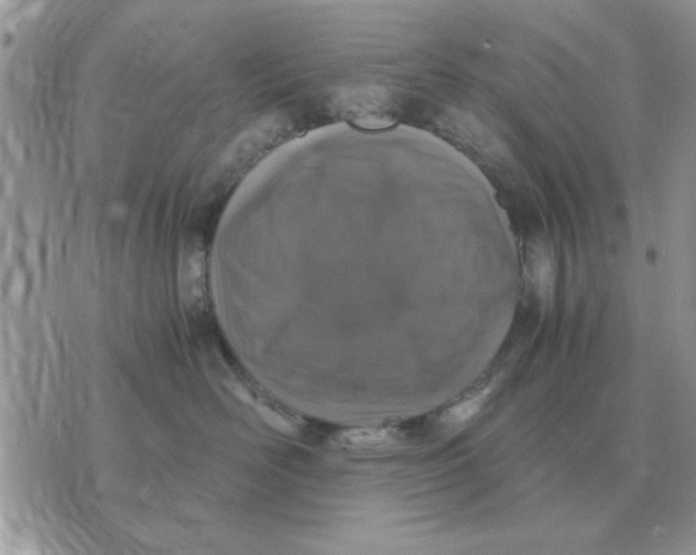 X0000070430526200606302129