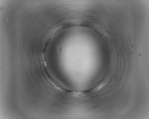 X0000070430528200606302129