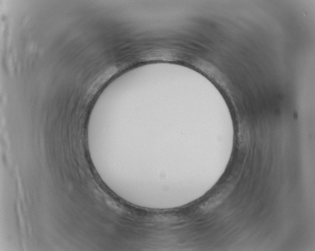 X0000070430529200606302128