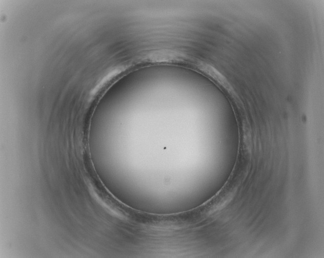 X0000070430530200606302128