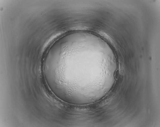 X0000070430531200606302128