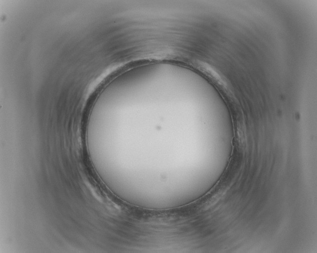 X0000070430532200606302128