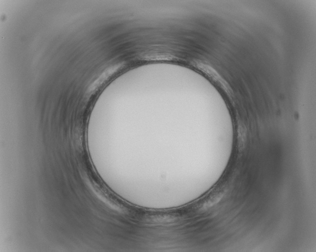 X0000070430533200606302128