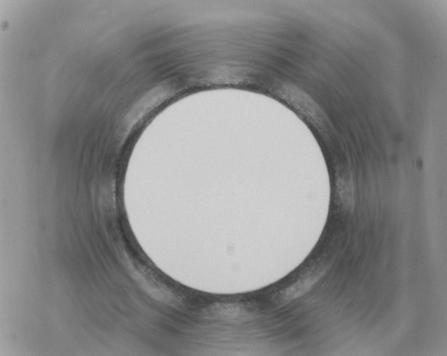 X0000070430534200606302128