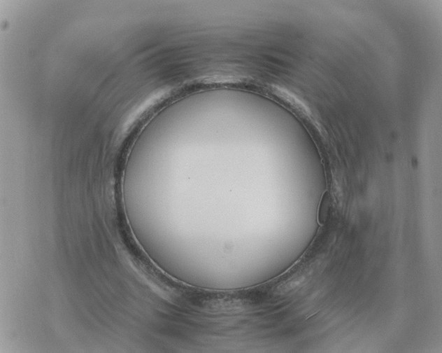 X0000070430535200606302128